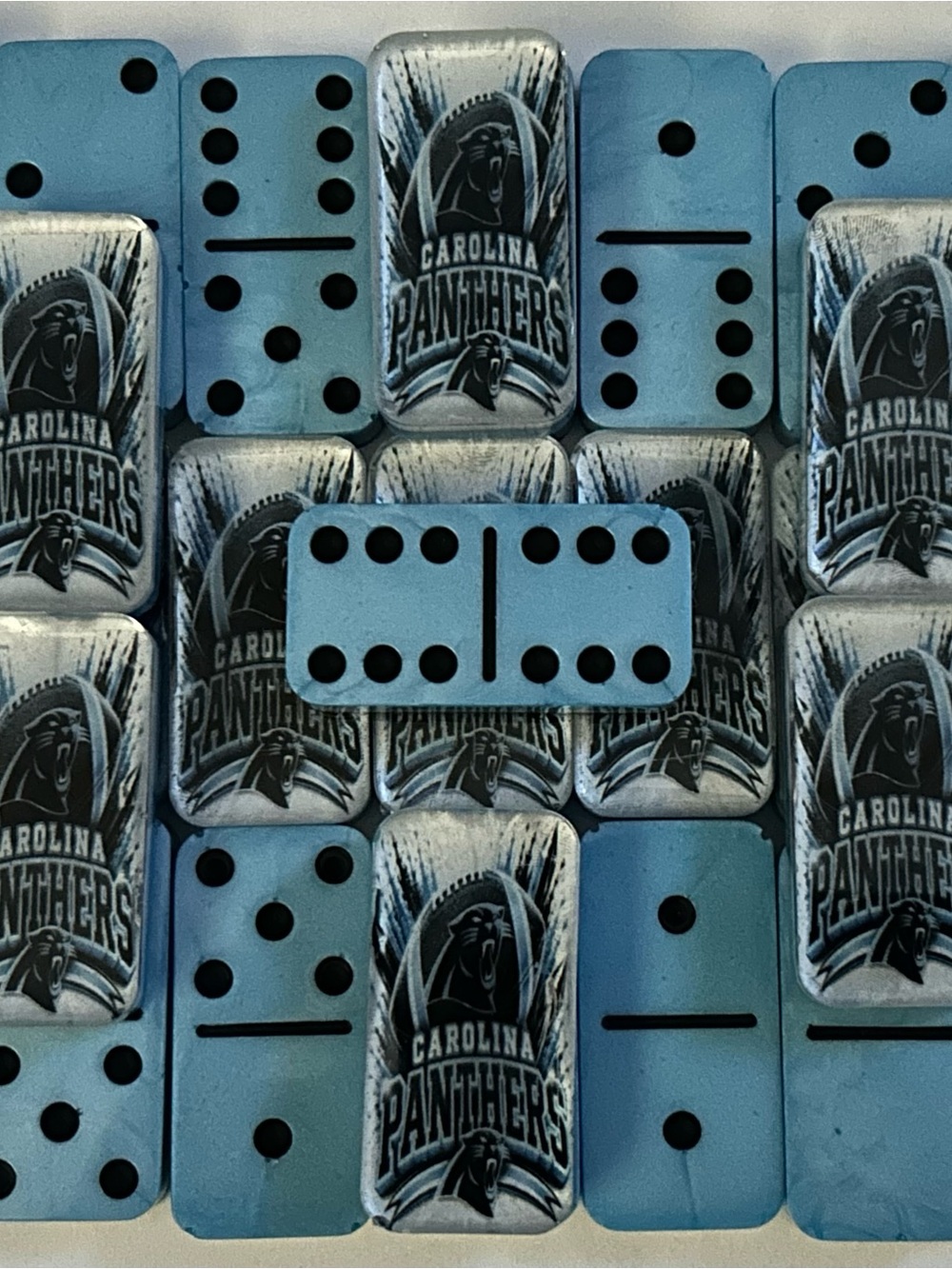Panthers Domino Set - Official Team Design